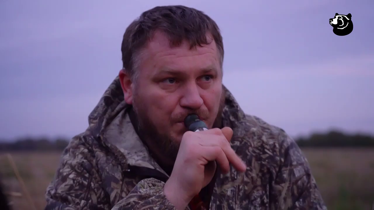 Watch Dom kino Premium